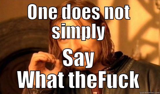 ONE DOES NOT SIMPLY SAY WHAT THEFUCK Boromir