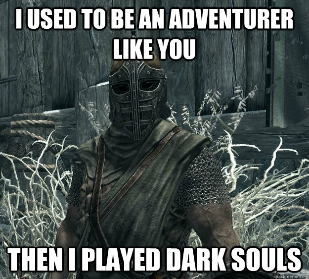 I used to be an adventurer like you then I played Dark souls  Skyrim Guard