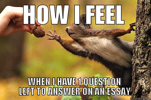 HOW I FEEL WHEN I HAVE 1 QUESTION LEFT TO ANSWER ON AN ESSAY Misc