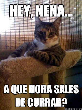 Hey, nena... ¿A que hora sales de currar?  The Most Interesting Cat in the World