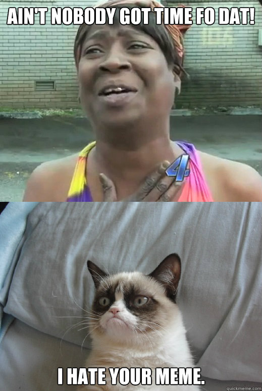 Ain't nobody got time fo dat! I hate your meme.  sweet brown and grumpy cat