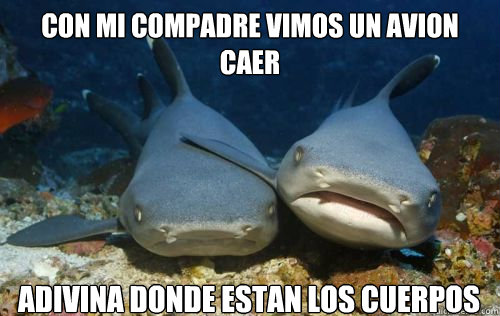 CON MI COMPADRE VIMOS UN AVION CAER ADIVINA DONDE ESTAN LOS CUERPOS   Compassionate Shark Friend