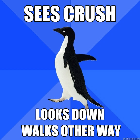 sees crush looks down
 walks other way  Socially Awkward Penguin