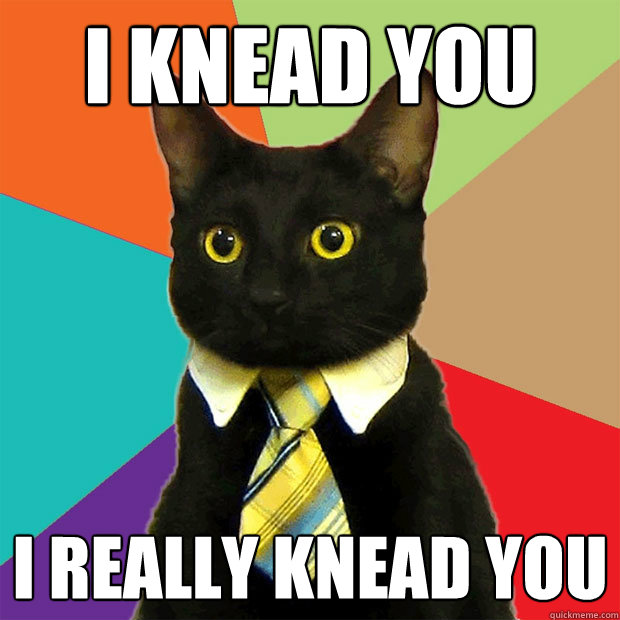 i knead you I really knead you  Business Cat