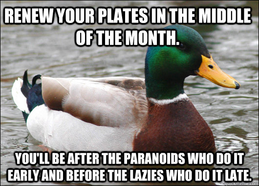 renew your plates in the middle of the month. You'll be after the paranoids who do it early and before the lazies who do it late.  Actual Advice Mallard