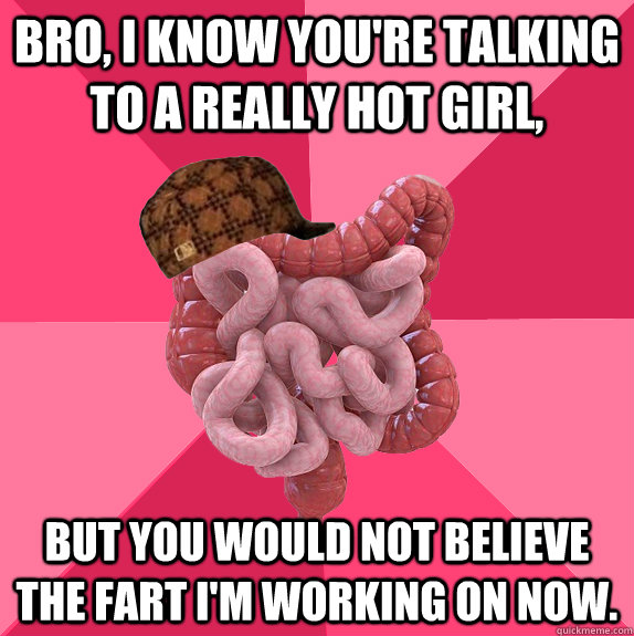 Bro, I know you're talking to a really hot girl,  But you would not believe the fart I'm working on now.   Scumbag Intestines
