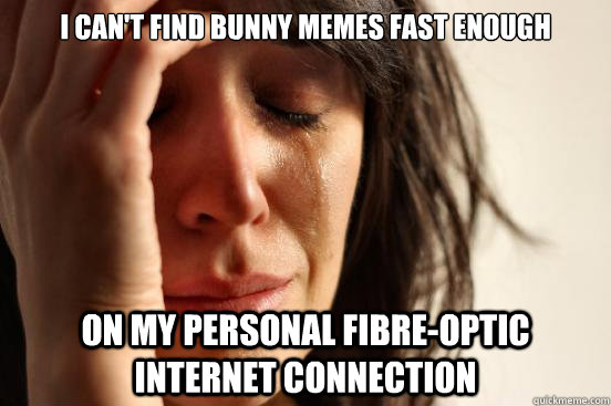 I can't find bunny memes fast enough On my personal fibre-optic internet connection  First World Problems