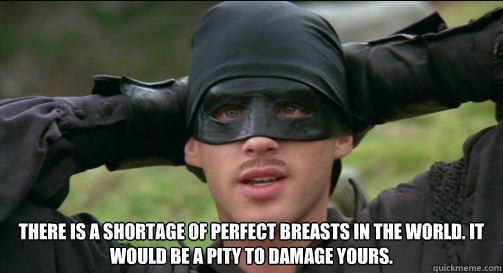  There is a shortage of perfect breasts in the world. It would be a pity to damage yours. -  There is a shortage of perfect breasts in the world. It would be a pity to damage yours.  Wesly