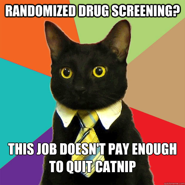 randomized drug screening? this job doesn't pay enough to quit catnip - randomized drug screening? this job doesn't pay enough to quit catnip  Business Cat
