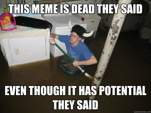 this meme is dead they said even though it has potential they said  Laundry Room Viking