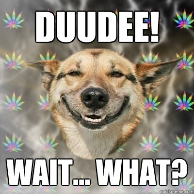 Duudee! Wait... what?  Stoner Dog