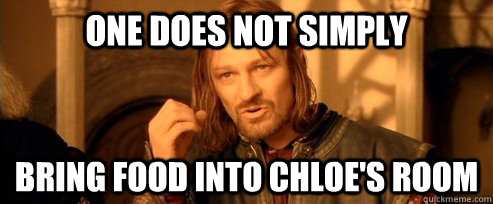 One does not simply bring food into chloe's room  One Does Not Simply