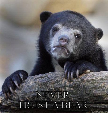 NEVER TRUST A BEAR  Confession Bear