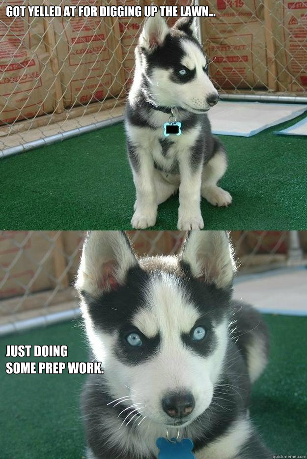 Got yelled at for digging up the lawn... Just doing 
some prep work.  Insanity puppy