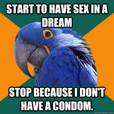 Start to have sex in a dream stop because I don't have a condom. - Start to have sex in a dream stop because I don't have a condom.  Paranoid Parrot