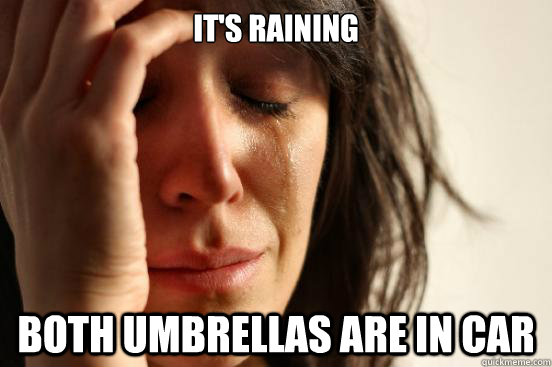 It's raining Both umbrellas are in car  First World Problems