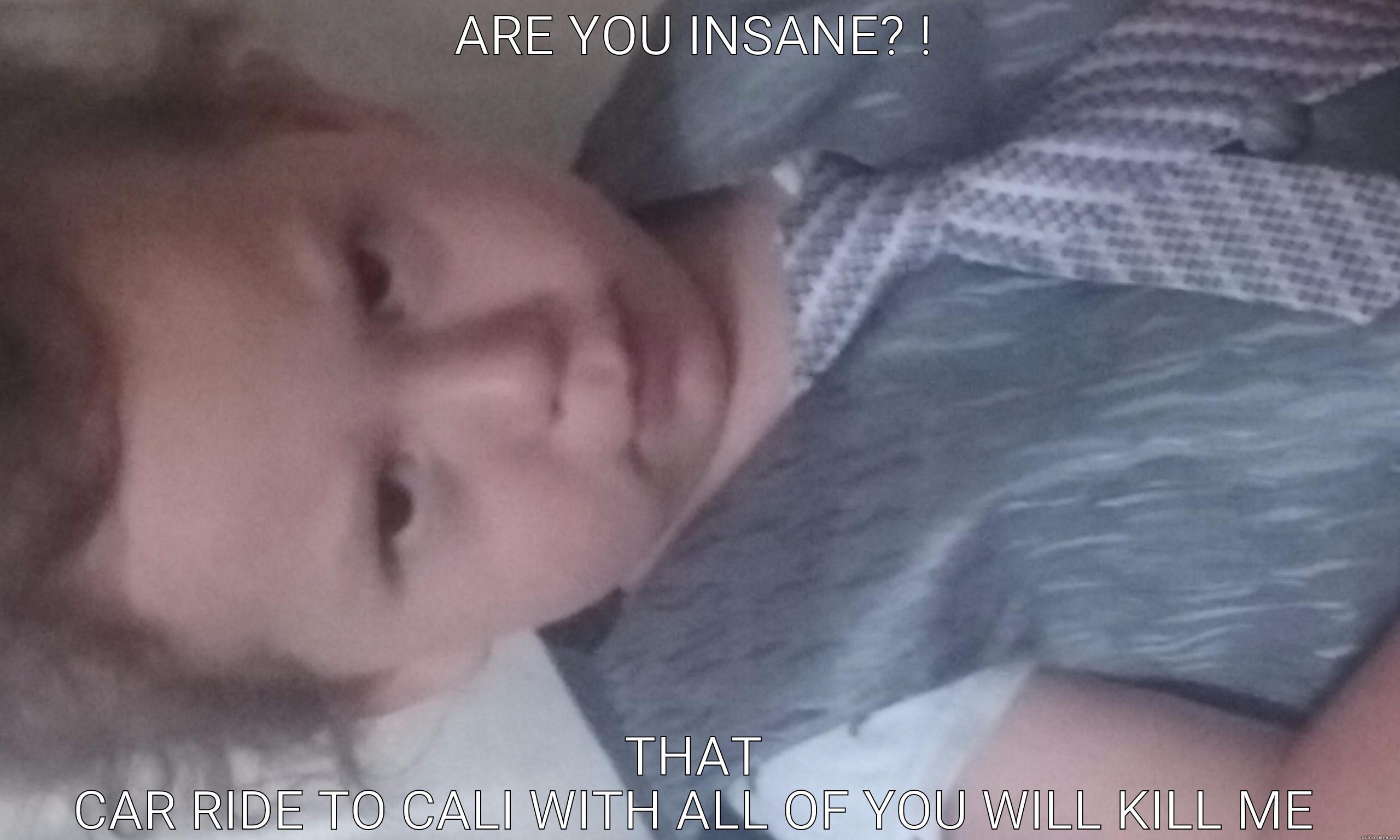 ARE YOU INSANE? ! THAT CAR RIDE TO CALI WITH ALL OF YOU WILL KILL ME Misc