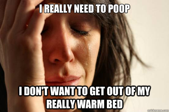 I really need to poop I don't want to get out of my really warm bed  First World Problems