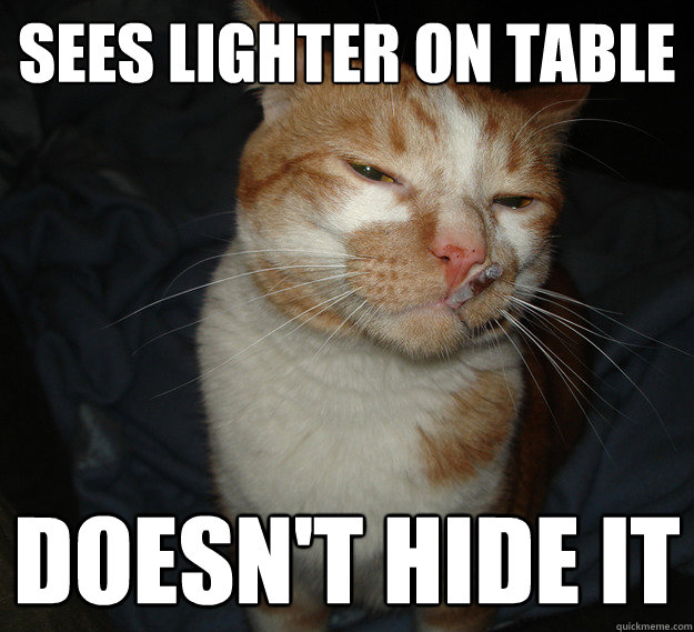 sees lighter on table doesn't hide it  Good Guy Cat