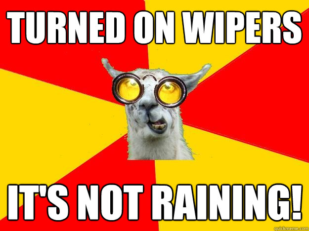 Turned on Wipers It's not raining!  Learner Driver Llama