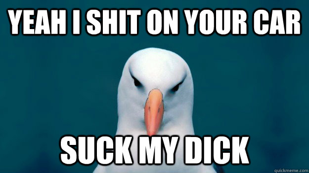 yeah i shit on your car suck my dick  