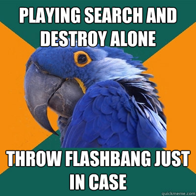PlayING SEARCH AND DESTROY Alone THROW FLASHBANG JUST IN CASE  Paranoid Parrot