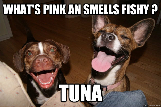 What's pink an smells fishy ? Tuna - What's pink an smells fishy ? Tuna  Clean Joke Puppies
