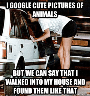 I google cute pictures of animals but we can say that i walked into my house and found them like that  Karma Whore