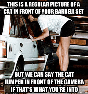 this is a regular picture of a cat in front of your barbell set But we can say the cat jumped in front of the camera if that's what you're into  Karma Whore