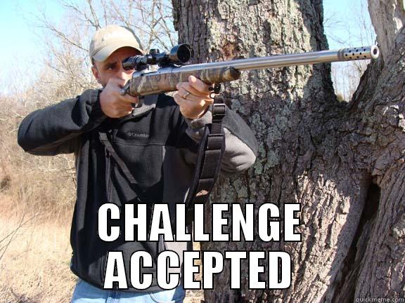  CHALLENGE ACCEPTED Misc