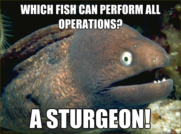 Which fish can perform all operations? a sturgeon!  Bad Joke Eel