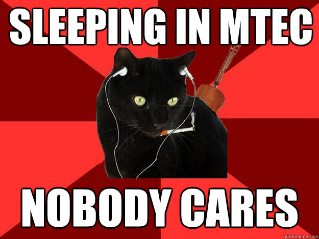 Sleeping in mtec nobody cares  Berklee Cat