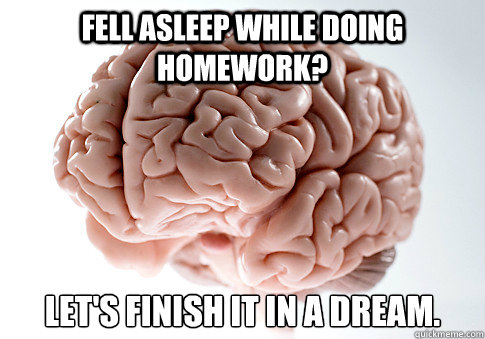 Fell asleep while doing homework? Let's finish it in a dream.   Scumbag Brain
