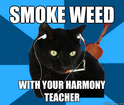 smoke weed with your harmony teacher - smoke weed with your harmony teacher  Socially Awkward Berklee Cat