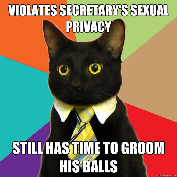 violates secretary's sexual privacy  Still has time to groom his balls  Business Cat