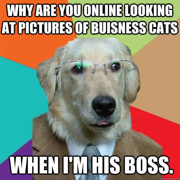 Why are you online looking at pictures of buisness cats When i'm his boss. - Why are you online looking at pictures of buisness cats When i'm his boss.  Business Dog