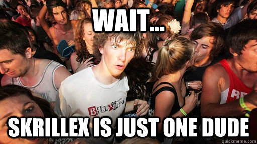 wait... Skrillex is just one dude  Sudden Clarity Clarence