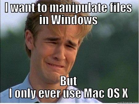 I WANT TO MANIPULATE FILES IN WINDOWS BUT I ONLY EVER USE MAC OS X 1990s Problems