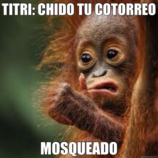 TITRI: CHIDO TU COTORREO MOSQUEADO - TITRI: CHIDO TU COTORREO MOSQUEADO  titri