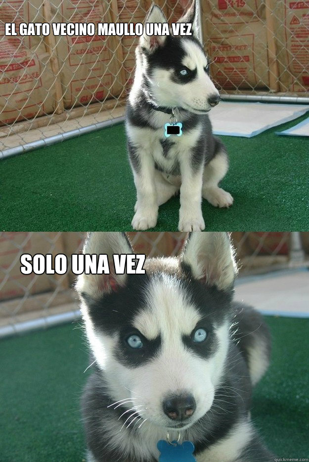 El gato Vecino maullo una vez Solo una vez  Insanity puppy