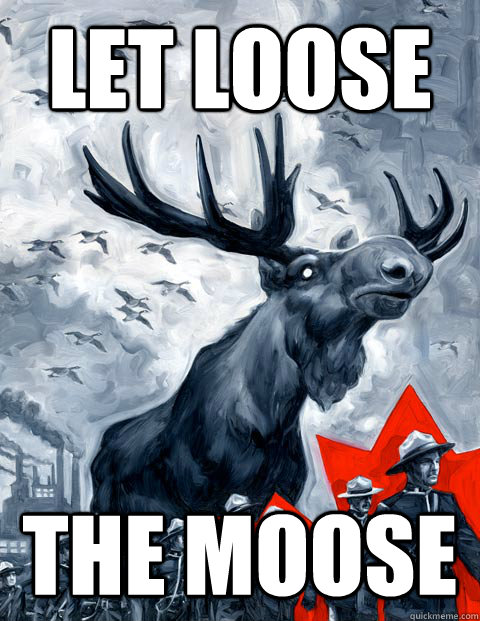 LET LOOSE THE MOOSE  Vindictive Canadian Moose Overlord