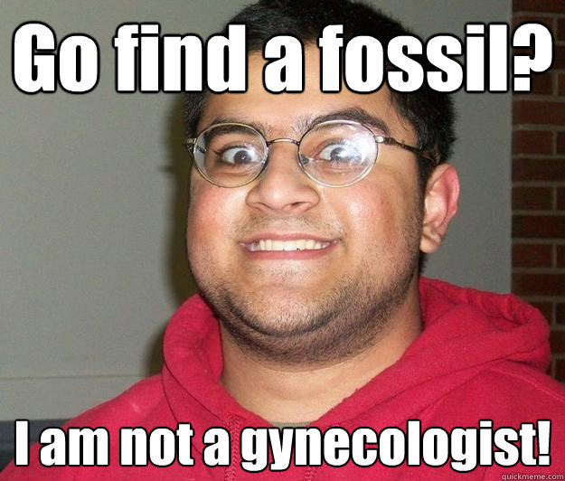 Go find a fossil? I am not a gynecologist!  Nerdy indian boy