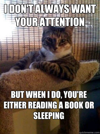 I don't always want your attention but when I do, you're either reading a book or sleeping  The Most Interesting Cat in the World