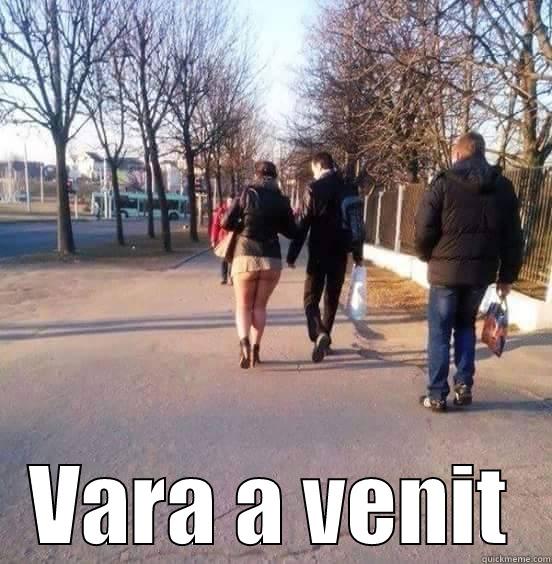 VARA A VENIT Misc