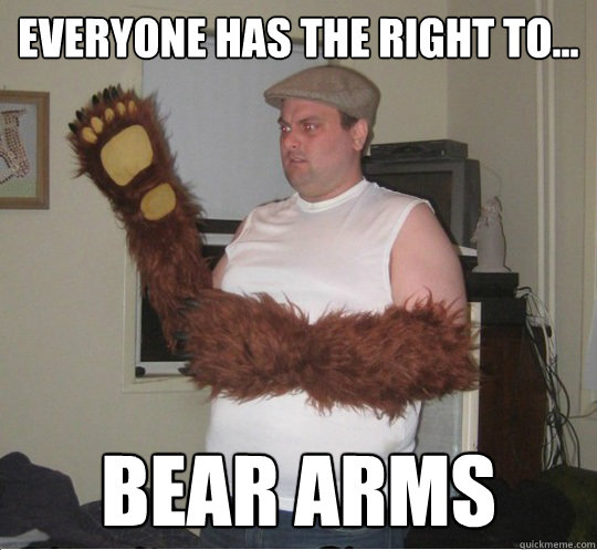 Everyone has the right to... BEAR ARMS  Right to Bear Arms