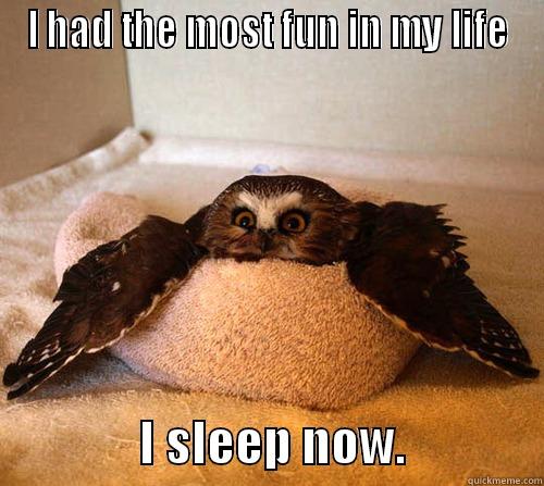 I HAD THE MOST FUN IN MY LIFE                I SLEEP NOW.              Misc