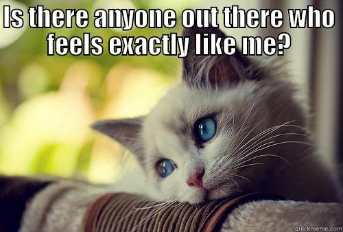 First World Problems Cat - Is there anyone out there who feels exactly like me - IS THERE ANYONE OUT THERE WHO FEELS EXACTLY LIKE ME?  First World Problems Cat