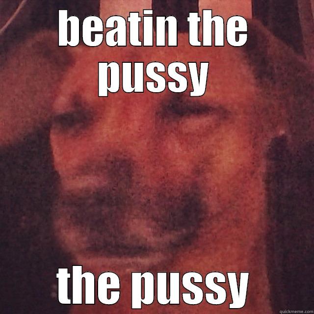 BEATIN THE PUSSY THE PUSSY Misc