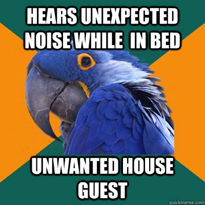 hears unexpected noise while  in bed unwanted house guest  Paranoid Parrot