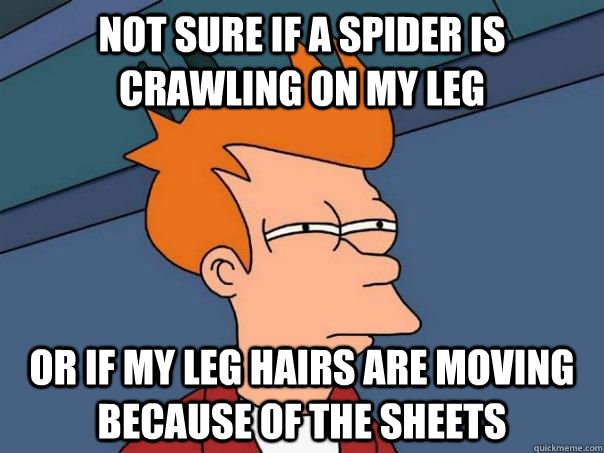 Not sure if a spider is crawling on my leg or if my leg hairs are moving because of the sheets  Futurama Fry